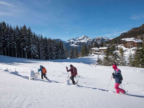 Le tour de Drôline en raquettes
