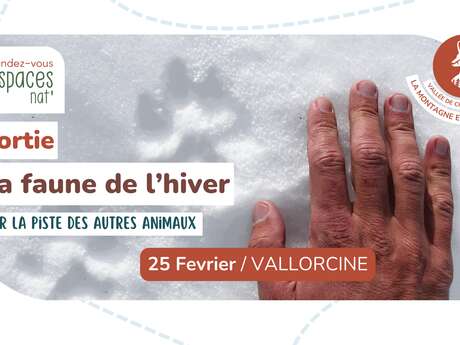 Sortie nature : La faune de l'hiver