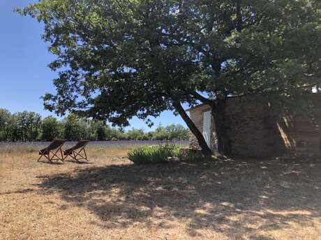 Le Cabanon du Berger