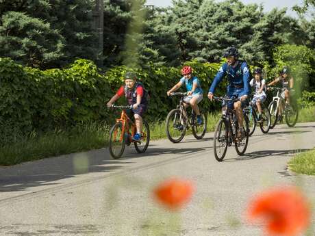 The electric investigation, treasure hunt on electric mountain bikes