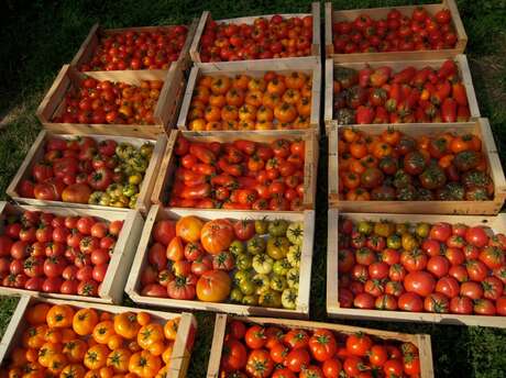 Le jardin des Charmettes