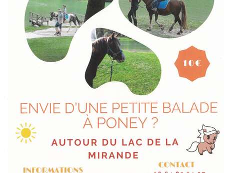 Balade à Poney autour du Lac de la Mirande