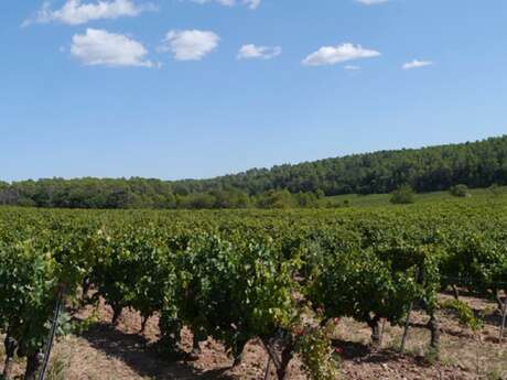 Domaine des Mapliers