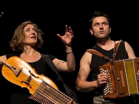 Théâtre de Châtel : Le merveilleux voyage de Niels Holgersson