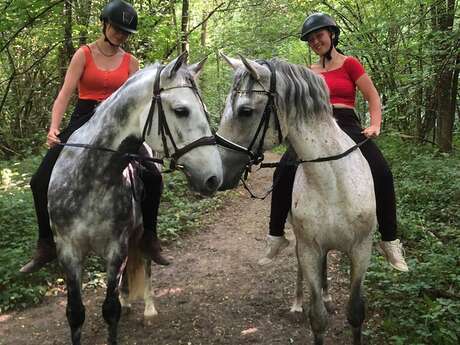Escape Game au poney club du Bréda
