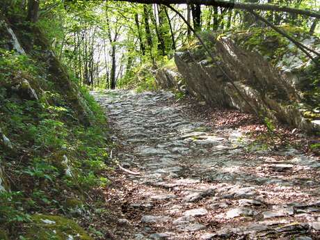 MTB route n°7 - The Sardinian Way