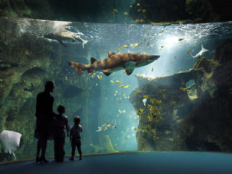 La Rochelle Acuario