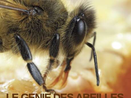 Le Génie des Abeilles Le Génie des Abeilles