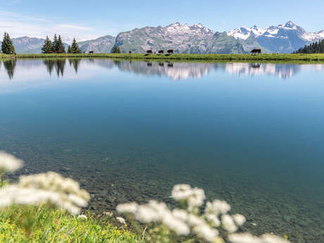 Samoëns Panorama Vallée
