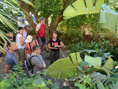 Visite guidée du Parc Gonzalez "Rendez-vous aux jardins"