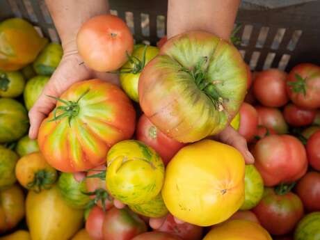 À la rencontre des Savoir-Faire des Alpilles : Les Jardins de Cidamos