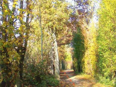 Sentier piétonnier Pierre Poivre