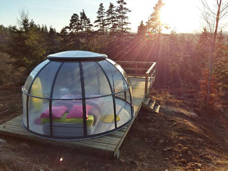 Le dôme étoilé - La Roche aux Fées