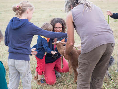 Le Gîte Paysan 'Au Soleil Levant'