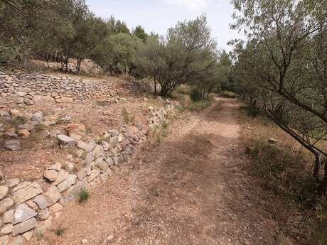De Cuers à Ste-Christine