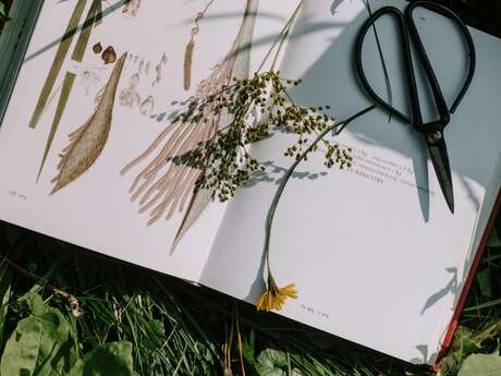 Atelier Altec (6-8 ans) - A la découverte des plantes et des herbiers