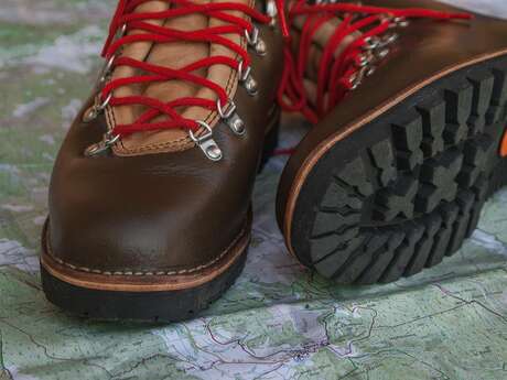 Randonnée pédestre encadrée à l'affut des chamois sur le versant adret du Mont de Grange avec Planet Gliss