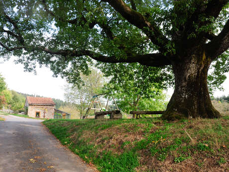 Ferme de la Gilbernie