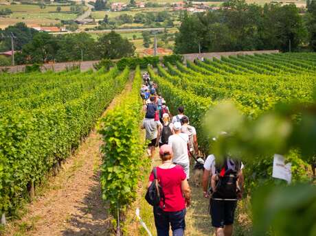 Balade Gourmande en Côte Roannaise