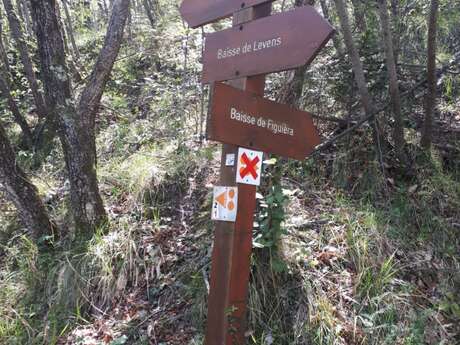 Randonnée pédestre Le tour du Mont Agaisen