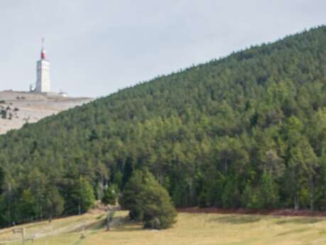 Sommeraktivitäten im Urlaubsort Mont Serein