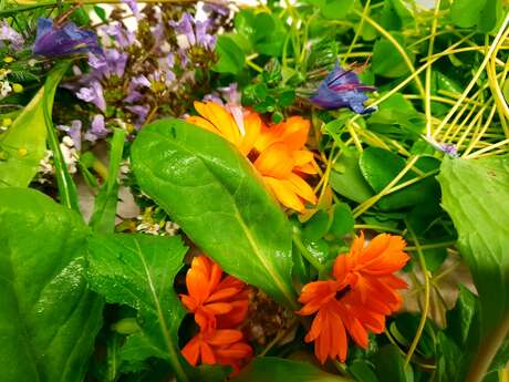 Atelier de cuisine et cueillette avec L'Atelier... L'Art des mets