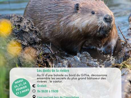 Les dents de la rivière