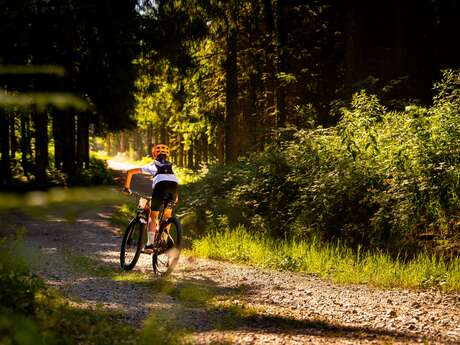 N° 12 - Les fruits rouges - Espace VTT-FFC Massif des Bois Noirs