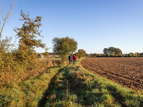 From Plessis-Bourré to the Lower Anjou Valleys