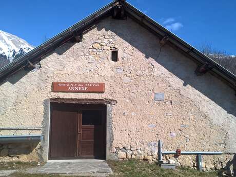 L'Annexe des Sauvas