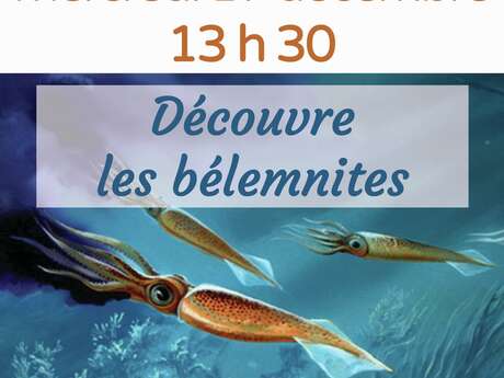 Atelier « A la recherche des bélemnites »