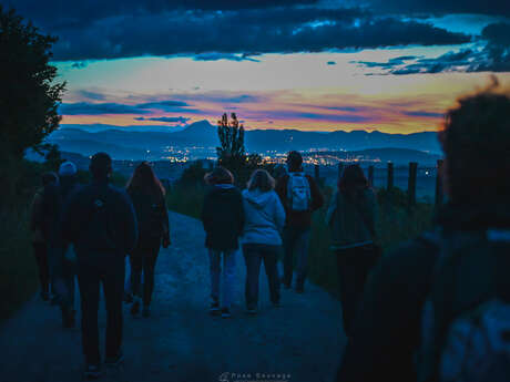 A la rencontre des chauves-souris