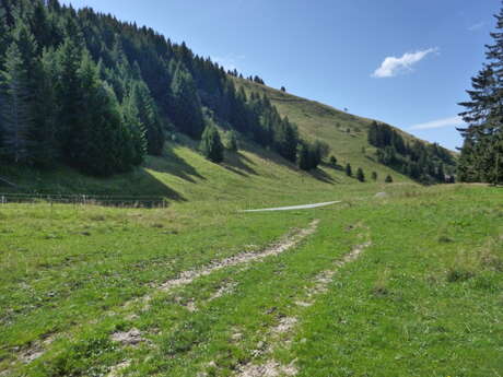 Écotrail Praz de Lys Sommand - 20 km