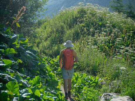 Introduction to Nordic Walking / Hiking Preparation