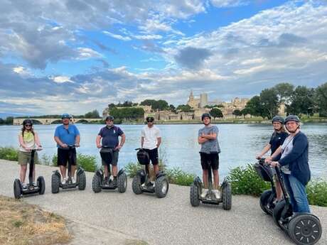 Avignon Gyro - Mobilboard-Netz