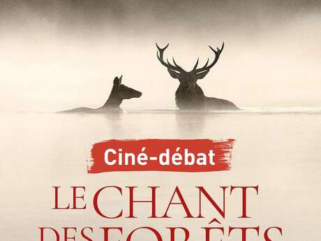 Ciné-débat Le Chant des Forêts