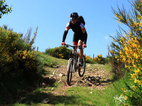 Circuit VTT : La Croix de Montvieux
