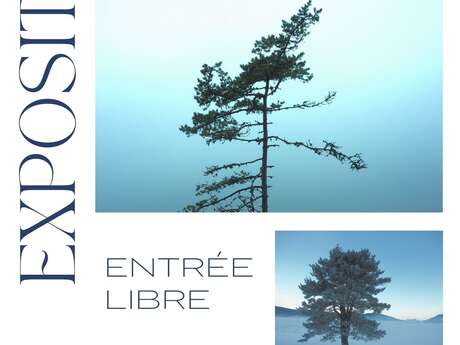Exposition de photographies - Partir d'une page branche - BOKKAJ