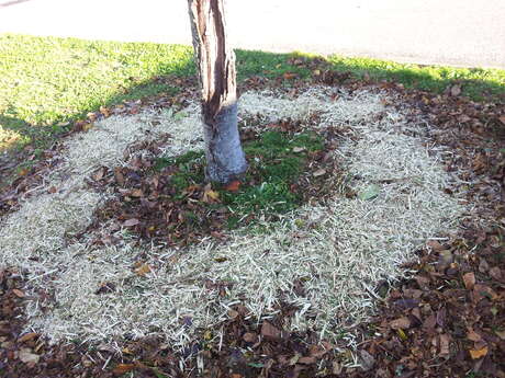 Atelier jardiner au naturel