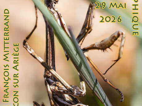 Exposition : "Photo"