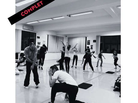 Masterclass  Compagnie Mickaël Le Mer