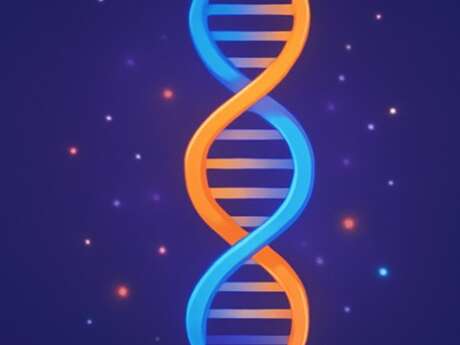 A la découverte de l'ADN : le code de la vie