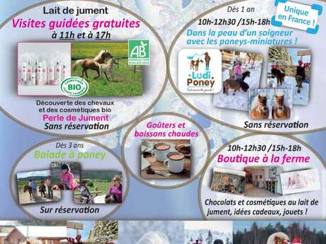 Visite guidée des installations du Haras et découverte de la production de lait de jument