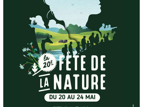 Fête de la nature : les abeilles, ces merveilles !