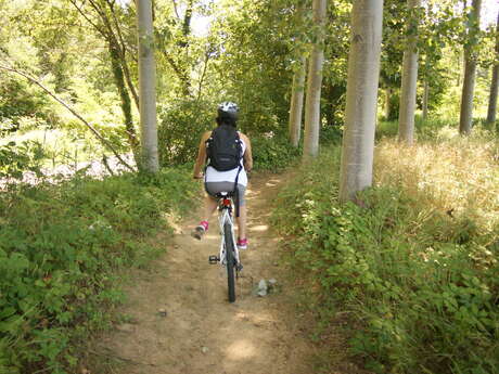 Mountainbike trail