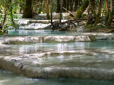 Source et vasques de l'Huveaune