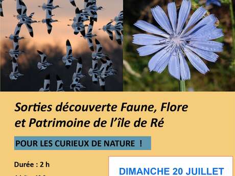 Entdeckung der Fauna, der Flora und des Kulturerbes der Ile de Ré