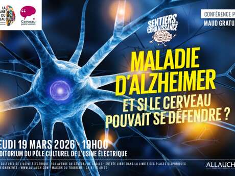 "Maladie d'Alzheimer : et si le cerveau pouvait se défendre?"