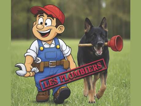 Concours Mondioring FCI