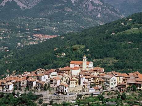 Le Mont Péla et la forêt de charme-houblon